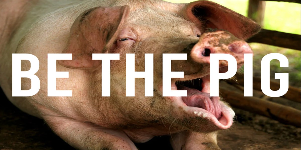 Be The Pig: A primer on how to fight Nationalists