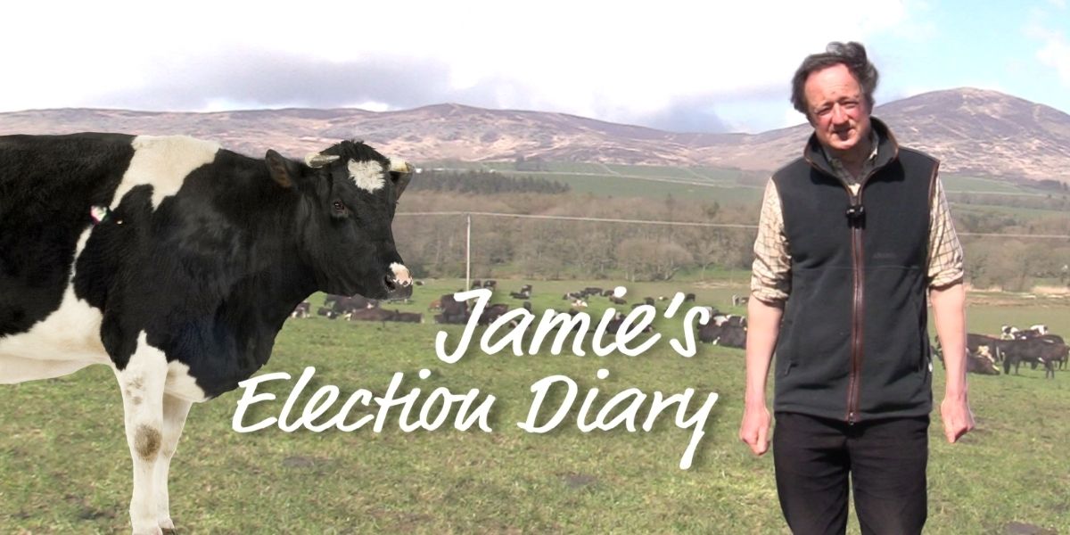 Leaks, Tory shenanigans and cows